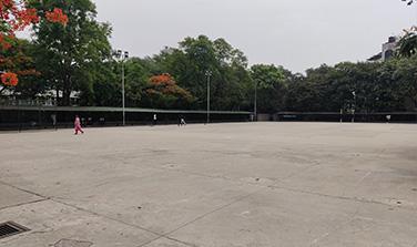 Function Ground